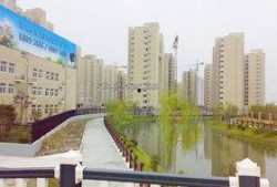 桃园新城最新爆料信息,揭秘未来城市生活新篇章